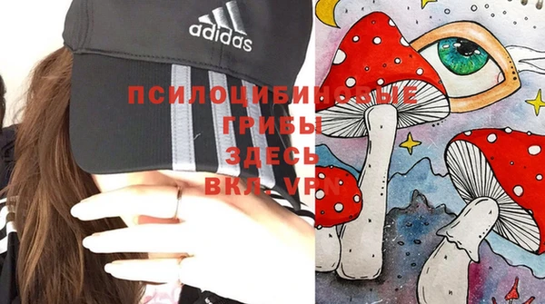 гашик Володарск