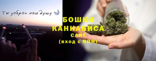 прущие грибы Волосово