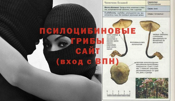 дживик Волоколамск