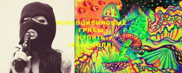 гашик Володарск