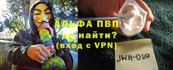 прущие грибы Волосово