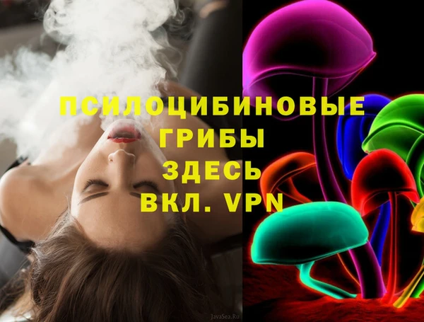 прущие грибы Волосово