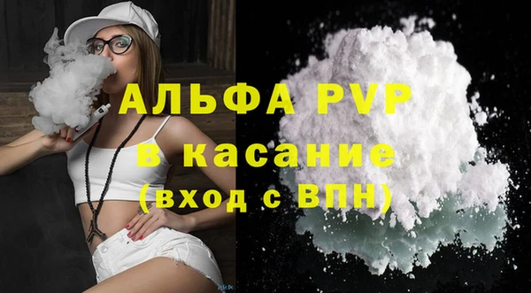 прущие грибы Волосово