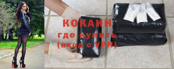 прущие грибы Волосово