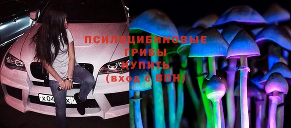 дживик Волоколамск