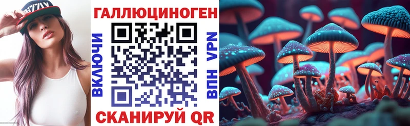 Купить где Вихоревка Псилоцибиновые грибы ЛСД