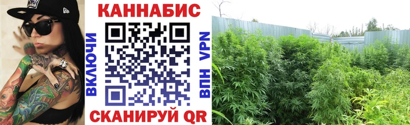 Канабис SATIVA & INDICA  Купить закладки  Вихоревка 